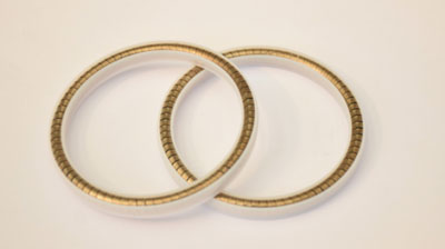 spring energized seal