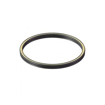 Spring energized PTFE seals